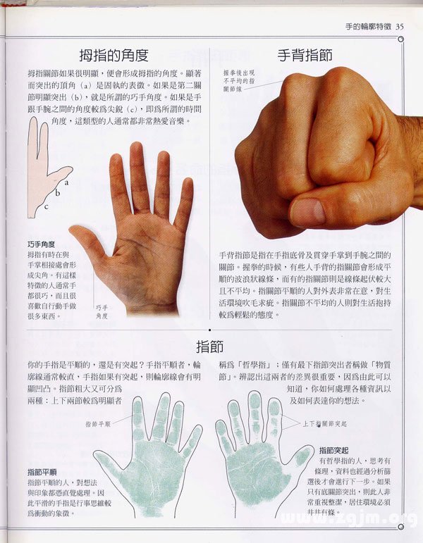 The palms learning encyclopedia: hand contour features