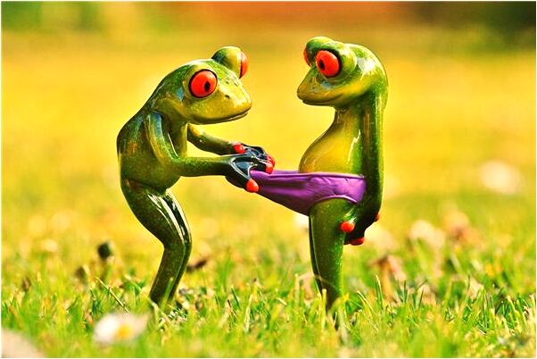 夢到房間很多柴火代表著什麼_周公解夢官網