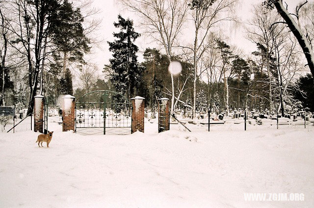 夢見自己的兒子_周公解夢夢到自己的兒子是什麼意思_做夢夢見自己的兒子好不好_周公解夢官網