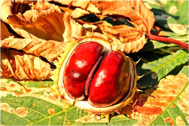 夢到了下雨看魔術好不好_周公解夢官網