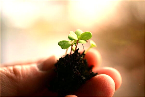 夢到自己去人工受孕是什麼徵兆_周公解夢官網