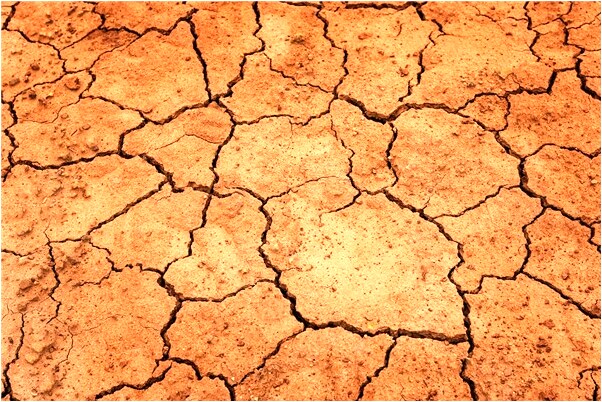 夢到了外公雙眼哭血是什麼啟示_周公解夢官網