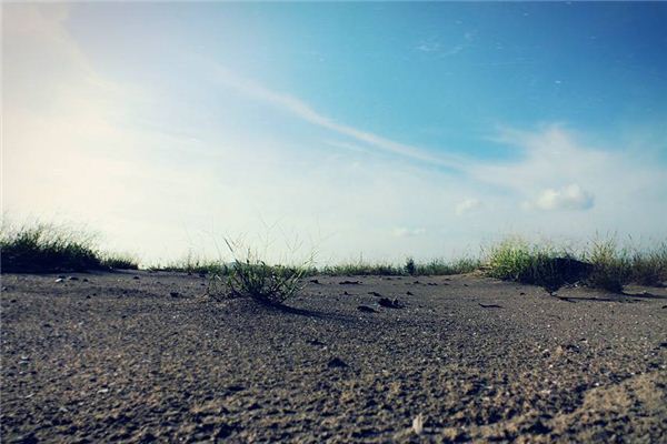 夢見荒地：生活陷入困境_周公解夢