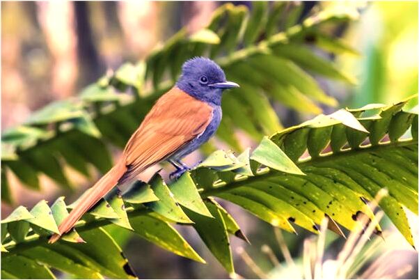 夢到了被鬼尋仇是什麼徵兆_周公解夢官網