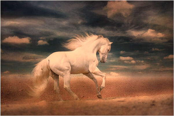 夢見舅舅變老有什麼預示嗎_周公解夢官網