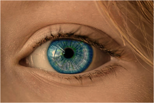 夢到古樹幹掏空有什麼寓意嗎？_周公解夢官網