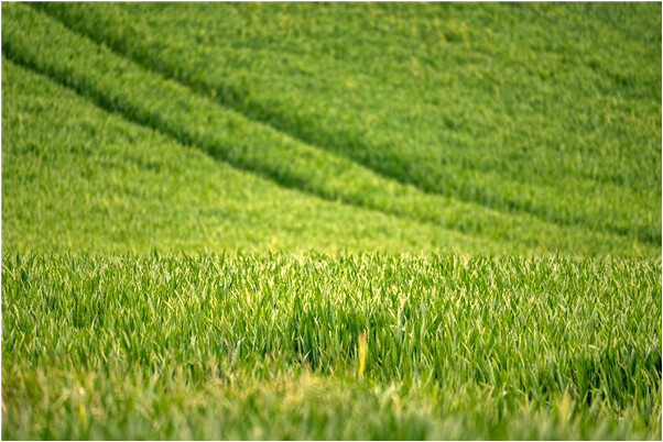 夢到舔女人陰道喝女人尿有什麼寓意嗎_周公解夢官網