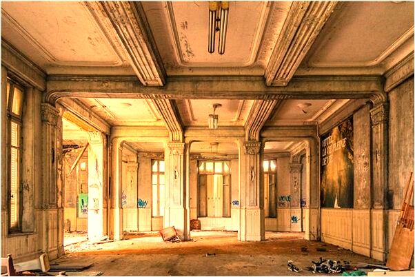 夢到餵養母豬和小豬預示什麼_周公解夢官網