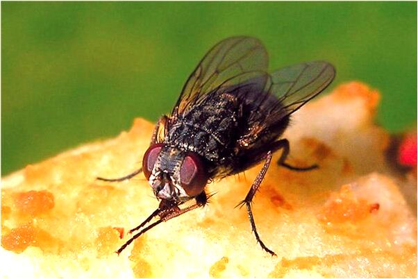 夢見第六套人民幣是好的徵兆嗎_周公解夢官網