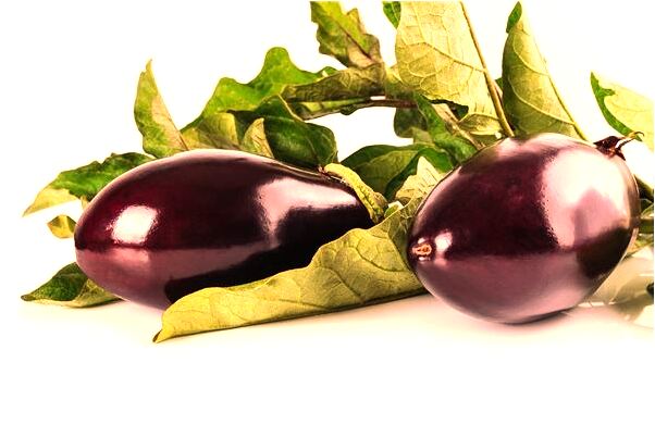 夢見杯子找不到了預示了什麼_周公解夢官網