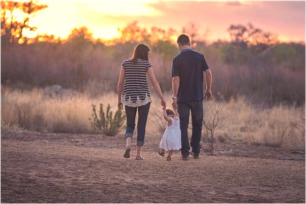 夢見灰白老狐狸預兆了什麼嗎_周公解夢官網
