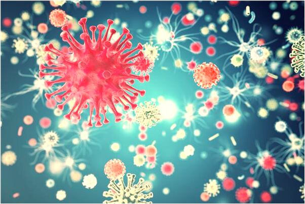 夢見哥哥給姥姥送水是什麼徵兆_周公解夢官網