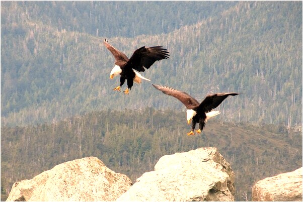 夢到和現在對象做愛啥意思_周公解夢官網