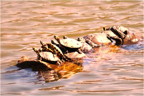 夢見和鬼神聊天是好是壞_周公解夢官網