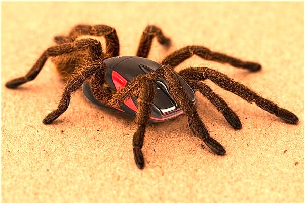 夢見好多朋友在一起有何寓意_周公解夢官網