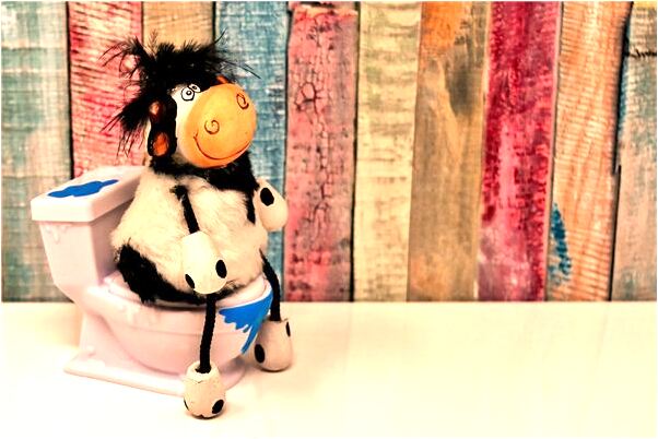 夢到了在海里抓海參是不是好的徵兆呢_周公解夢官網