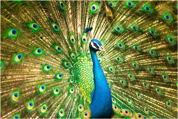 夢見自己穿漂亮的新衣服是好是壞_周公解夢官網