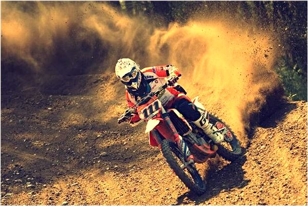 夢見白色狼狗看自己是不是好的徵兆呢_周公解夢官網