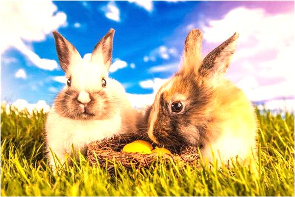 夢到夢裡看見燒焦女屍體意味著什麼_周公解夢官網