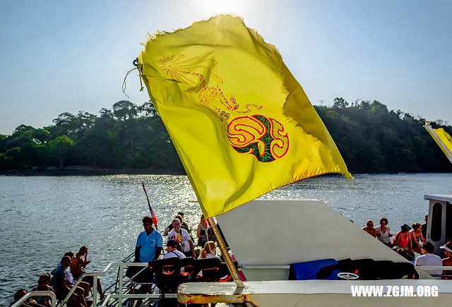 夢見香樟樹倒_周公解夢夢到香樟樹倒是什麼意思_做夢夢見香樟樹倒好不好_周公解夢官網