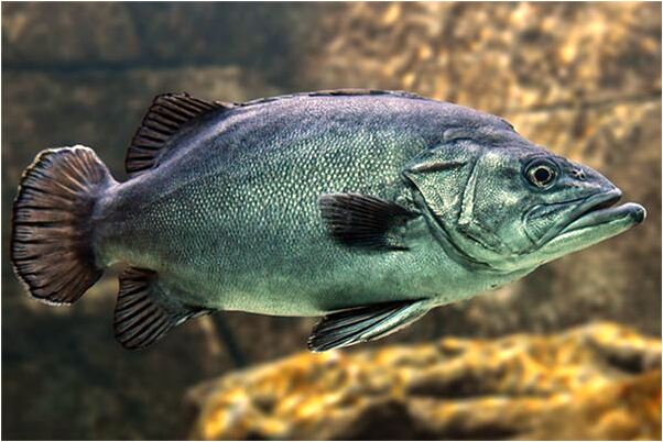 夢到媽媽偷南爪給我藏著怎么回事_周公解夢官網