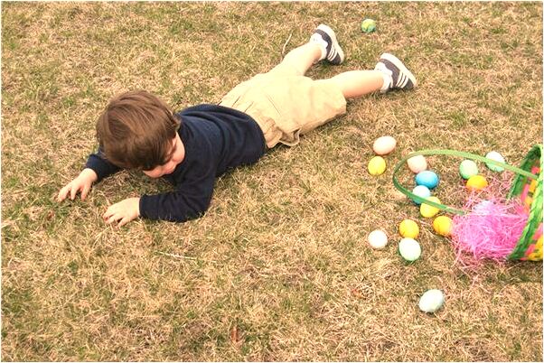 夢到沒有內臟的烏龜好不好_周公解夢官網