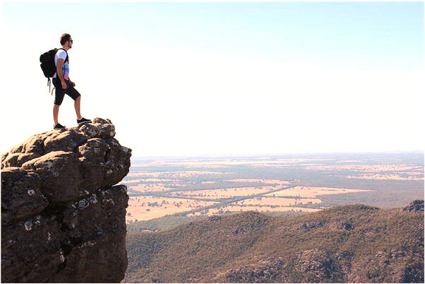 夢見地里能長核桃是什麼兆頭_周公解夢官網