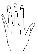 Hand shape