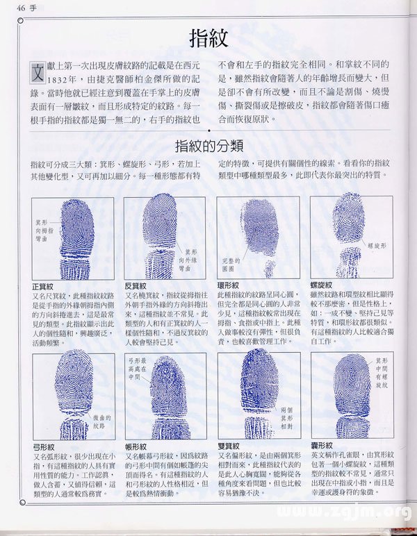 The palms learning encyclopedia: fingerprint