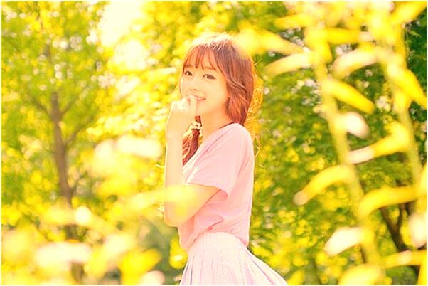 夢到獅虎牛同行代表著什麼？_周公解夢官網