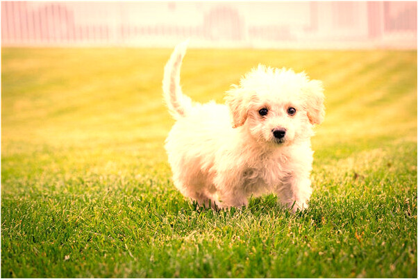 夢到手錶璉斷了啊怎么說_周公解夢官網