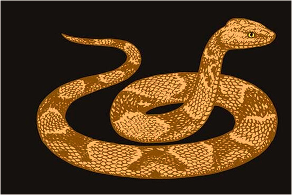 夢到了衣服鞋都找不到有什麼含義_周公解夢官網