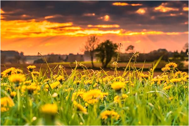 夢到了仇人家的冬瓜是好事還是壞事_周公解夢官網