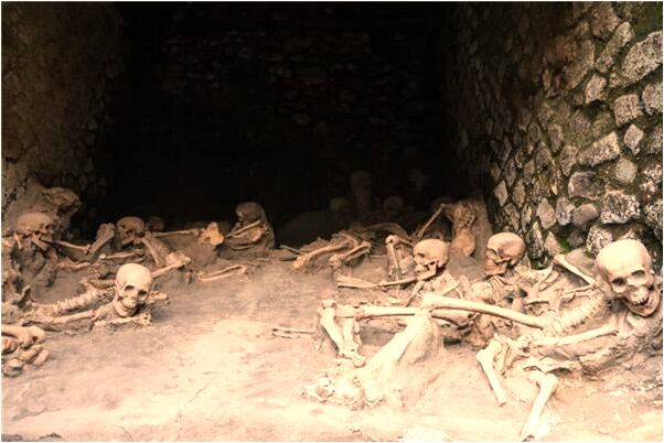 夢見媽媽我偷偷吃甜瓜是咋回事_周公解夢官網