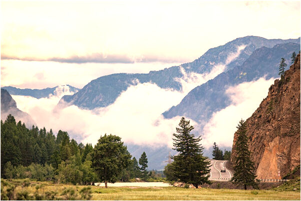 夢見狗咬死雞又把狗砍死是什麼預兆_周公解夢官網