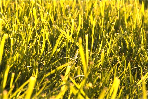 夢見心臟在乳房下方出血有什麼寓意嗎_周公解夢官網