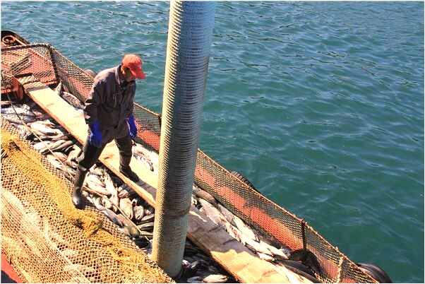 夢見滿臉白灰的工人意味著什麼_周公解夢官網