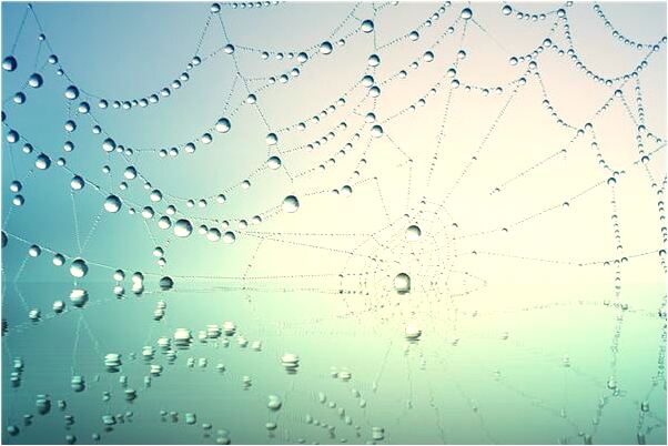 夢見電腦不知被誰踩壞會是什麼預兆_周公解夢官網