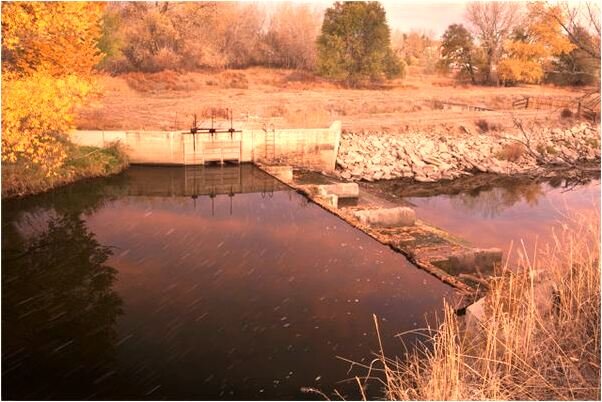 夢到路上有很多手機預示什麼_周公解夢官網