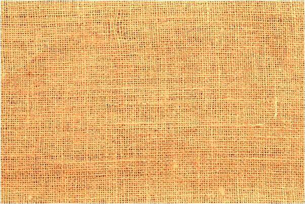 夢見很多小動物會是什麼預兆_周公解夢官網