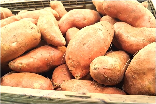 夢到回到自己舊房子預示什麼_周公解夢官網