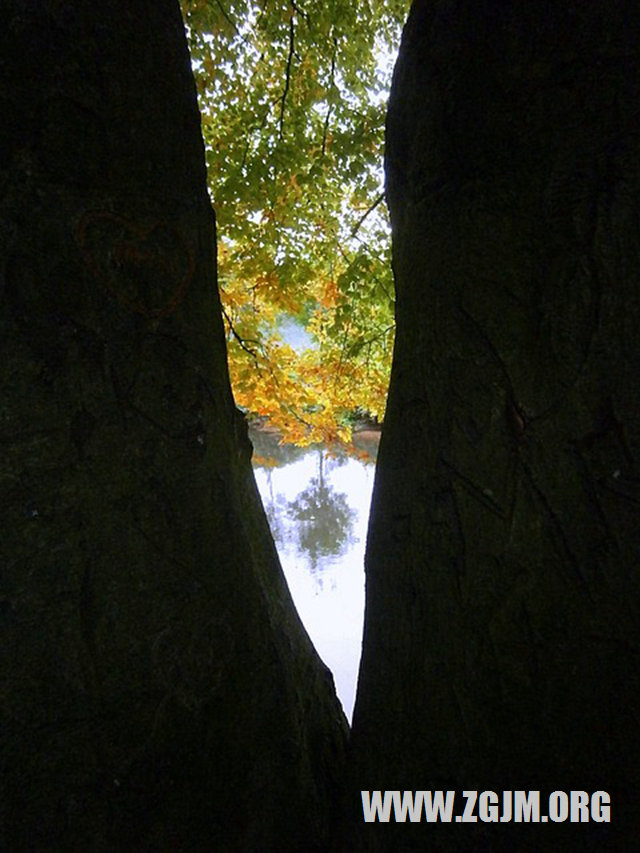 夢見別人出殯_周公解夢夢到別人出殯是什麼意思_做夢夢見別人出殯好不好_周公解夢官網