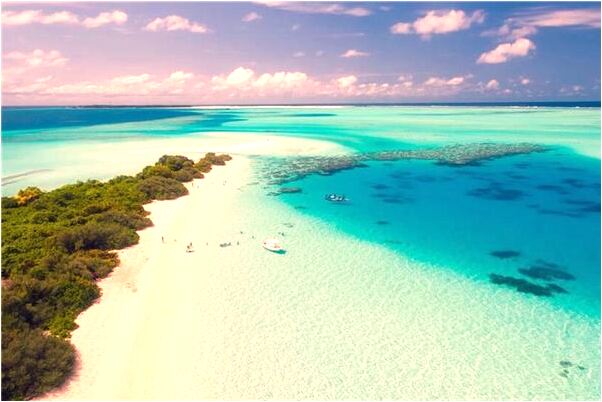 夢到了自己空手抓野雞意味著什麼_周公解夢官網