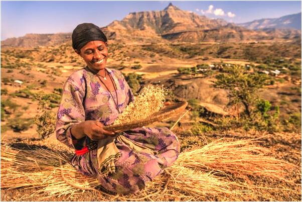 夢見大門牙齒掉了一半是好事還是壞事_周公解夢官網