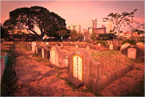 夢到一隻羊在綠色的菜地里是啥預兆_周公解夢官網