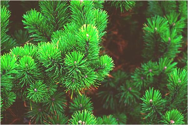 夢見別人開店生意不好有什麼意思嗎_周公解夢官網