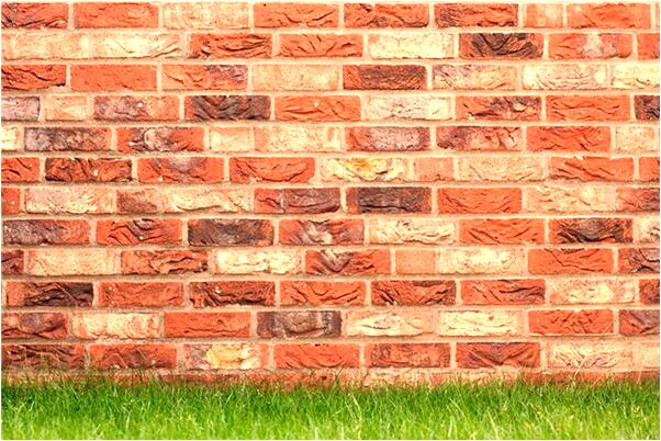 夢到了樹唄別人伐了放在門口怎么說_周公解夢官網