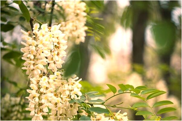 夢見床下有靈牌是不是好的徵兆呢_周公解夢官網