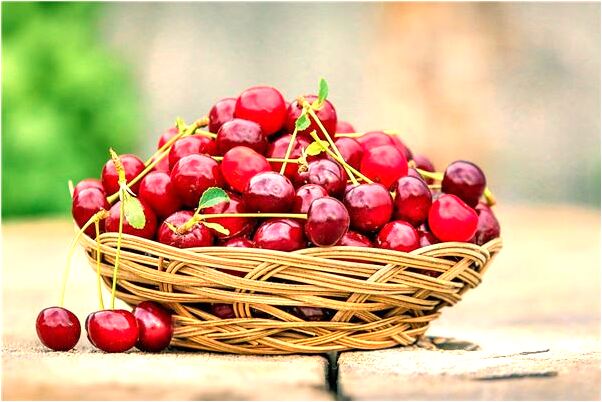 夢到了和同學玩撲克是凶兆還是吉兆_周公解夢官網