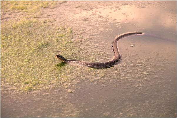 夢到跟前男朋友抱著睡一張床是什麼預兆？_周公解夢官網